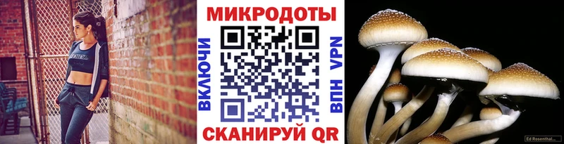 Псилоцибиновые грибы Cubensis  MEGA как зайти  Изобильный 
